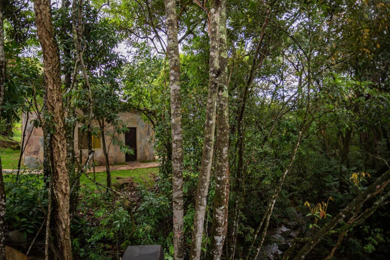 Two-Bedroom Chalet,1339273862:JPEG